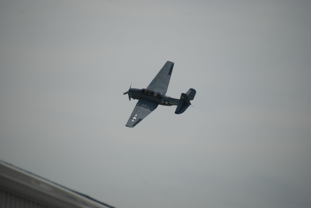 DSC_3226.jpg